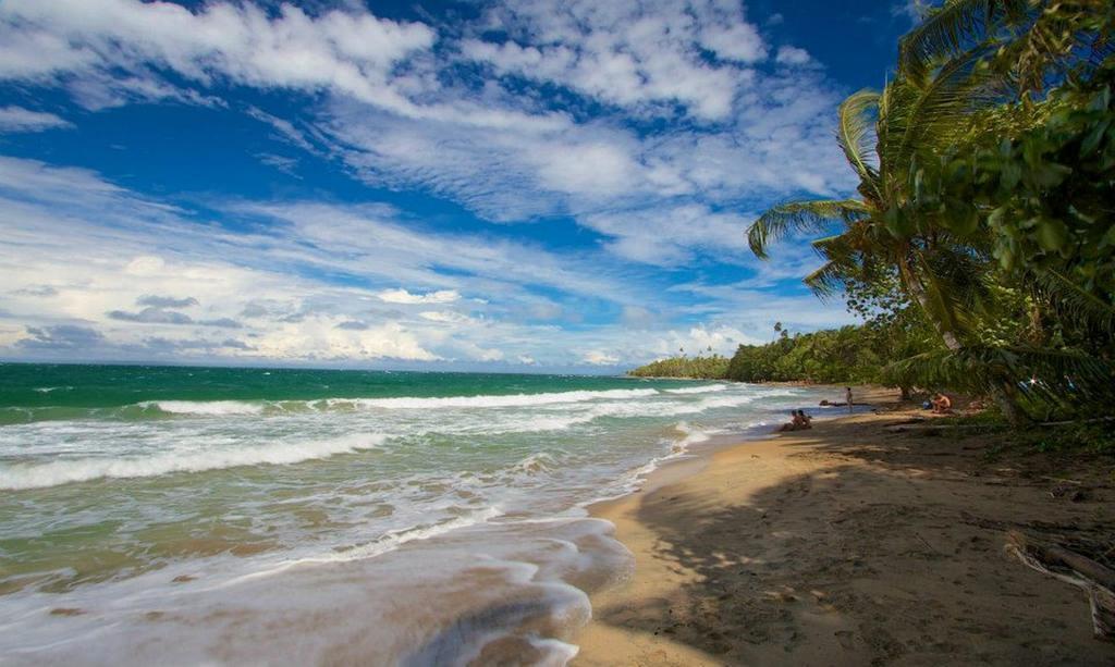 Sea Tower Hotel Puerto Viejo de Talamanca Ngoại thất bức ảnh