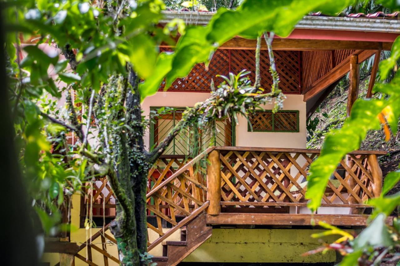 Sea Tower Hotel Puerto Viejo de Talamanca Ngoại thất bức ảnh
